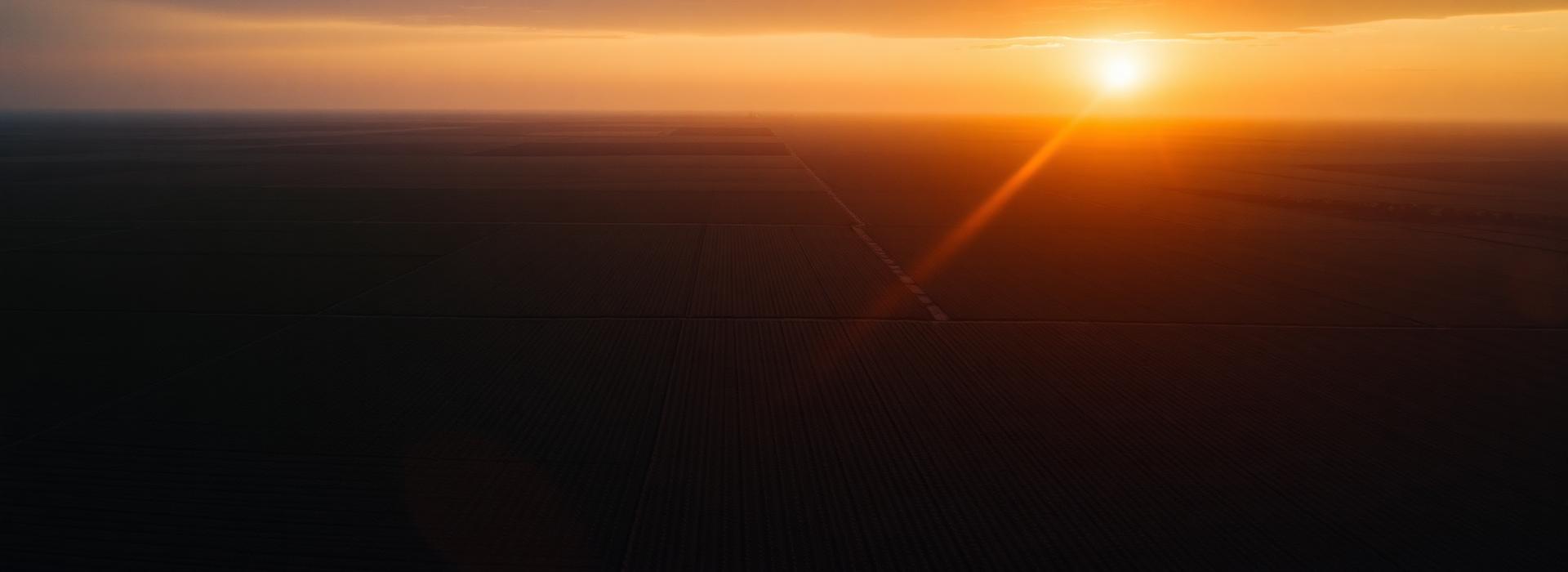 Agricultural Fertilizer Trading